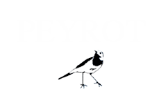 François Peyrot – Premium konjakid